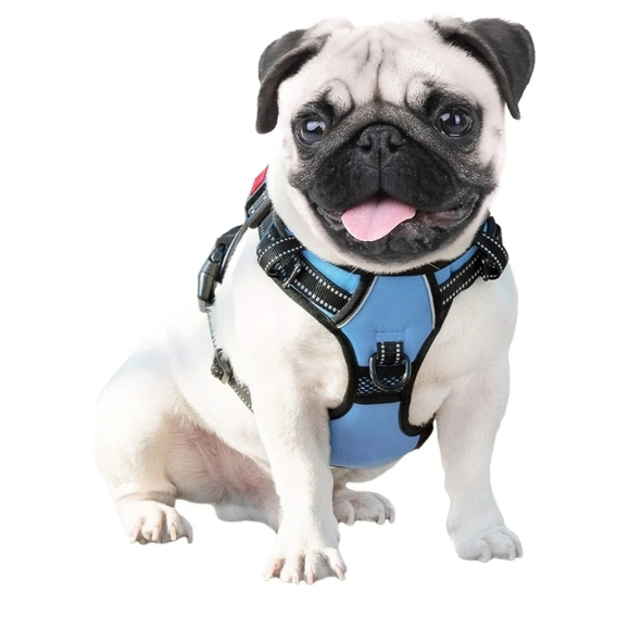 Blue and Black Dog Harness - Picture 6 of 16